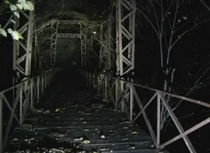 Visiting the Chilling 'Flower Beauty' Abyss: A Journey for the Brave - image 1