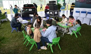 Countdown to Innovation: Vietnam Sustainable Car Exhibition 2024 Set to Redefine the Region's Automotive Future - image 3