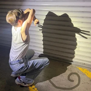 How to Master the Viral 'Cat Shadow' Photography Trend - image 7