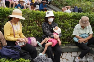 Massive Crowds Gather at Hung Temple for Ancestral Anniversary - image 8
