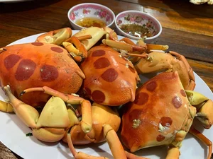 Phu Quy Island: A Journey Back to Nature’s Pristine Origins - image 7