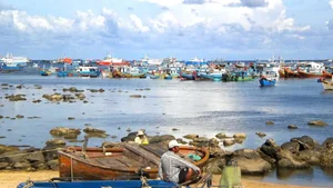Phu Quy Island: A Journey Back to Nature’s Pristine Origins - image 3