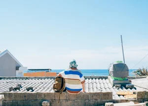 Phu Quy Island: A Journey Back to Nature’s Pristine Origins - image 6