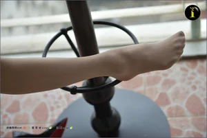 IESS 019 Xiao Liu: Classic Nude Oil Shiny Stockings Volume 2 - image 21