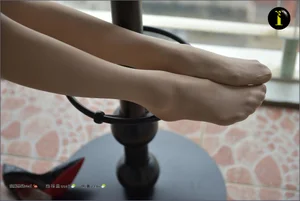 IESS 019 Xiao Liu: Classic Nude Oil Shiny Stockings Volume 2 - image 72