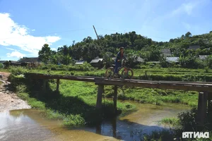 Inauguration of the Dan Tri Charity Project in Scenic Muong Long - image 6