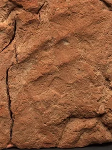 Archaeologists Stunned by Incredible Discovery Inside Ancient Egyptian Tomb - image 5
