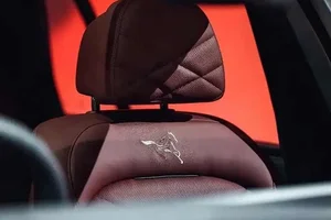 BMW X5 Year of the Horse Edition: Luxury Meets Zodiac Symbolism - image 1