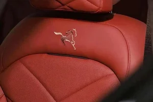 BMW X5 Year of the Horse Edition: Luxury Meets Zodiac Symbolism - image 3