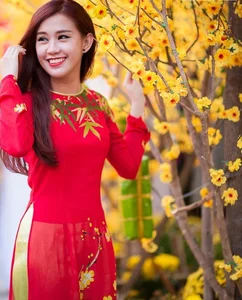 Beautiful Lunar New Year Photoshoots: Festive Fashion and Joyful Spring Vibes - image 3