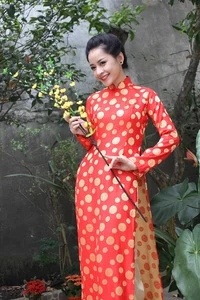 Beautiful Lunar New Year Photoshoots: Festive Fashion and Joyful Spring Vibes - image 1