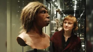 DNA Analysis Reveals New Secrets of European Neanderthals - image 4