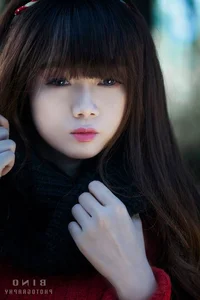 Beautiful Vietnamese Girls Gallery - Nostalgic and Elegant Portrait Collection - image 2