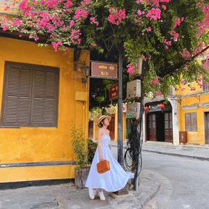 Capturing the Romance of Hoi An's Stunning Bougainvillea Season - image 4