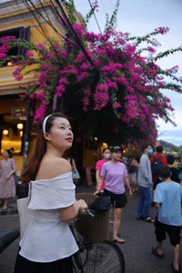 Capturing the Romance of Hoi An's Stunning Bougainvillea Season - image 2