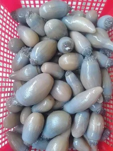 The Strange Culinary Trend: Why This 'Goosebumps' Specialty is Worth 200,000 VND/KG - image 5