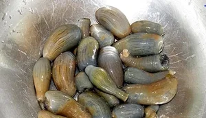 The Strange Culinary Trend: Why This 'Goosebumps' Specialty is Worth 200,000 VND/KG - image 2