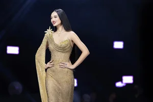 Who is the Vietnamese Beauty Queen Facing Backlash for Her VTV Prime-Time Performance? - image 2