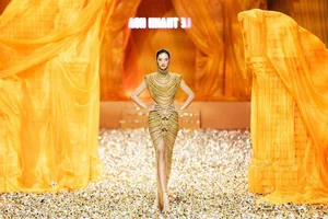 Who is the Vietnamese Beauty Queen Facing Backlash for Her VTV Prime-Time Performance? - image 6