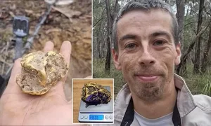 Life-Changing Discovery: Man Finds Buried Treasure Under Decayed Tree Root - image 3