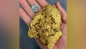Life-Changing Discovery: Man Finds Buried Treasure Under Decayed Tree Root - image 5
