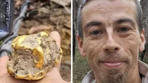 Life-Changing Discovery: Man Finds Buried Treasure Under Decayed Tree Root - image 7