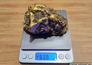 Life-Changing Discovery: Man Finds Buried Treasure Under Decayed Tree Root - image 6