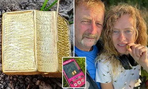 Amateur Metal Detectorist Uncovers Historic Treasure in Field - image 8