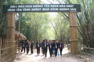 A Day at Cu Chi Tunnels: An Immersive Journey Through Vietnam's Heroic History - image 6