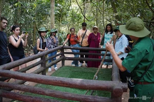 A Day at Cu Chi Tunnels: An Immersive Journey Through Vietnam's Heroic History - image 1