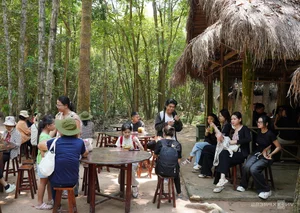 A Day at Cu Chi Tunnels: An Immersive Journey Through Vietnam's Heroic History - image 8