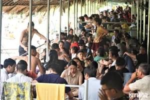Escaping the Heat: Thousands Flock to Vietnam's Cool Forest Retreats - image 9