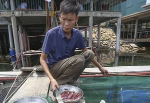Ha Tinh’s Famous ‘Jumping Squid’: A Must-Try Culinary Specialty of Vung Ang - image 0