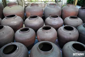 Vietnamese Teacher Sets National Record with Extraordinary Collection - image 2