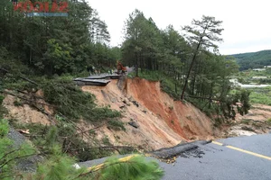 Xuan Huong Bridge on Mimosa Pass: A Major Infrastructure Milestone for Da Lat Tourism - image 0