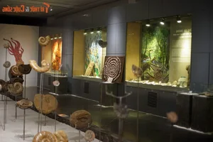 Explore Earth's Ancient History: World-Class Fossil Exhibition at Hanoi Museum - image 6