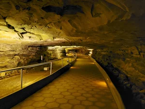 Exploring Mammoth Cave: A Deep Dive into the World's Longest Cave System - image 3