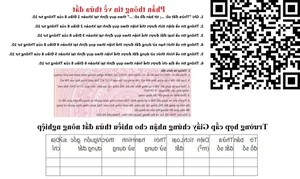 5 Fascinating Facts About the New QR Code on Vietnamese Land Certificates - image 0