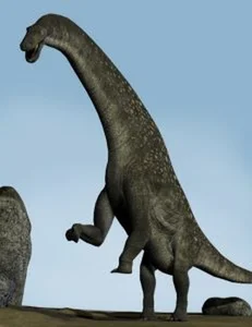Super-Beast Discovered in the 'Vampire Region': Experts Are Stunned - image 3