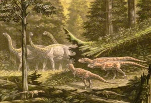 Super-Beast Discovered in the 'Vampire Region': Experts Are Stunned - image 7