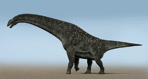 Super-Beast Discovered in the 'Vampire Region': Experts Are Stunned - image 5