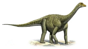 Super-Beast Discovered in the 'Vampire Region': Experts Are Stunned - image 0