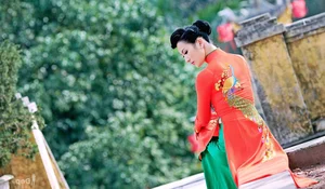 Elegant Vietnamese Ao Dai: Beautiful Traditional Dress Portrait Collection - image 14