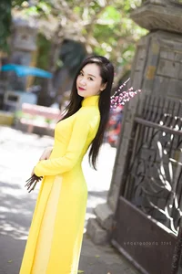 Elegant Vietnamese Ao Dai: Beautiful Traditional Dress Portrait Collection - image 9