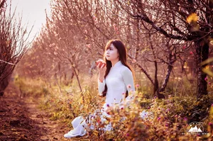 Elegant Vietnamese Ao Dai: Beautiful Traditional Dress Portrait Collection - image 12