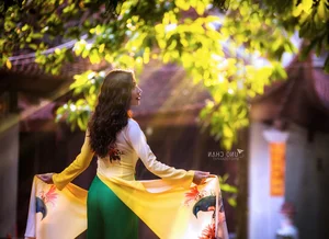 Elegant Vietnamese Ao Dai: Beautiful Traditional Dress Portrait Collection - image 5