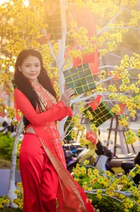 Elegant Vietnamese Ao Dai: Beautiful Traditional Dress Portrait Collection - image 3