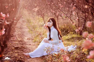 Elegant Vietnamese Ao Dai: Beautiful Traditional Dress Portrait Collection - image 4