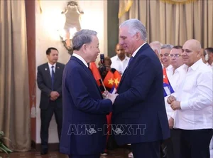 Vietnam President To Lam Meets with Cuban Friendship Delegation - image 6