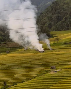 Nam Cang Ripe Rice Season: A Hidden Photography Gem in Sapa - image 2